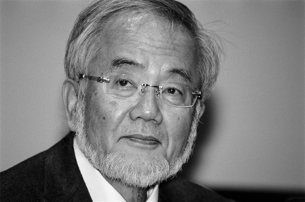 Yoshinori Ohsumi